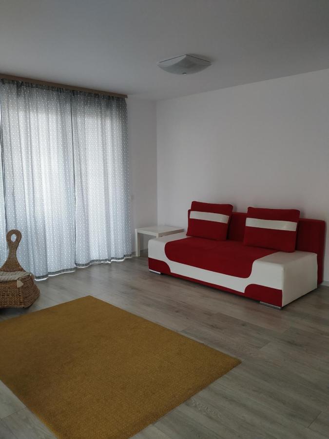 Exquisite Apartament Brasov Exterior photo
